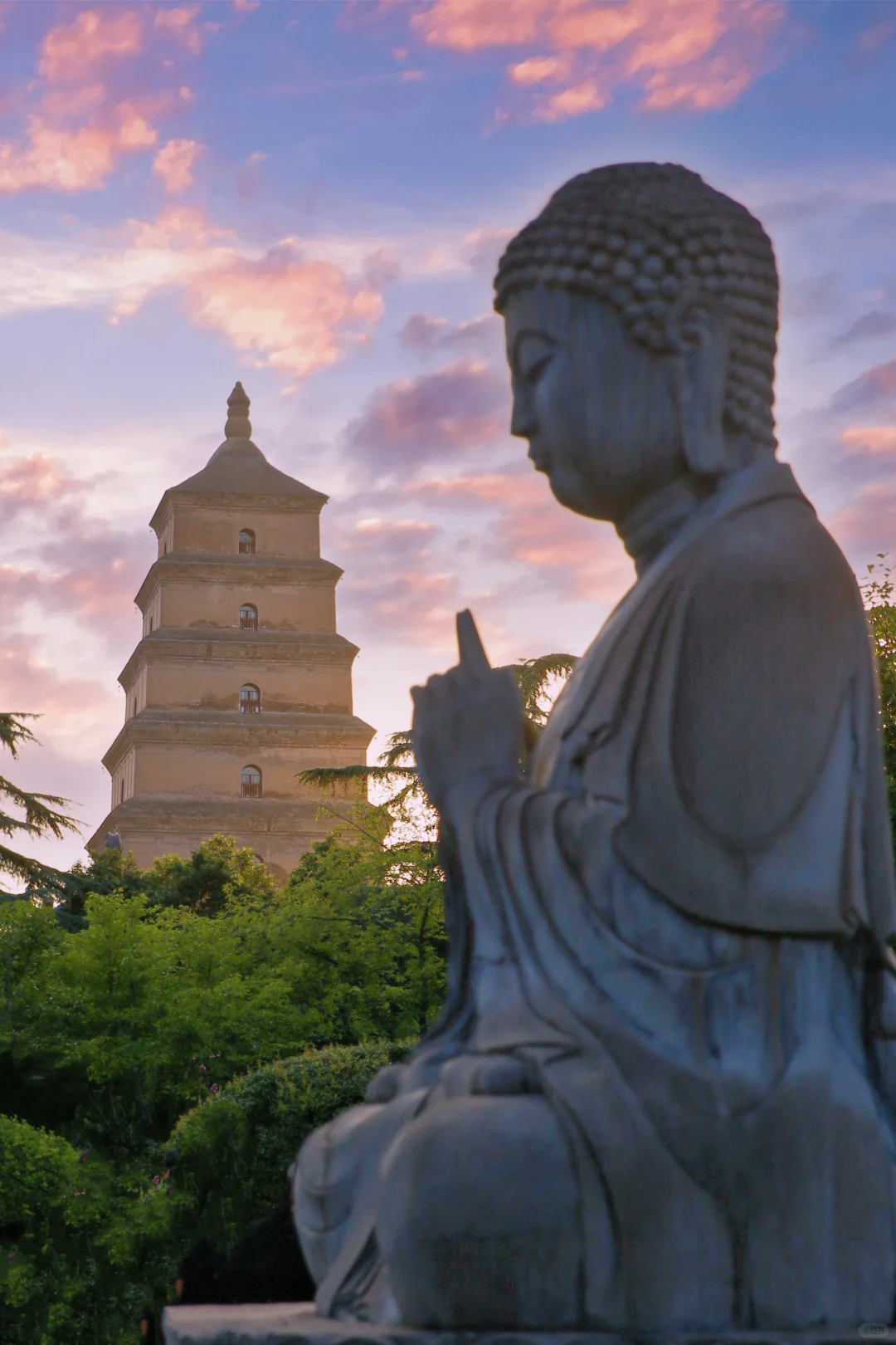 西安18个巨出片机位📷