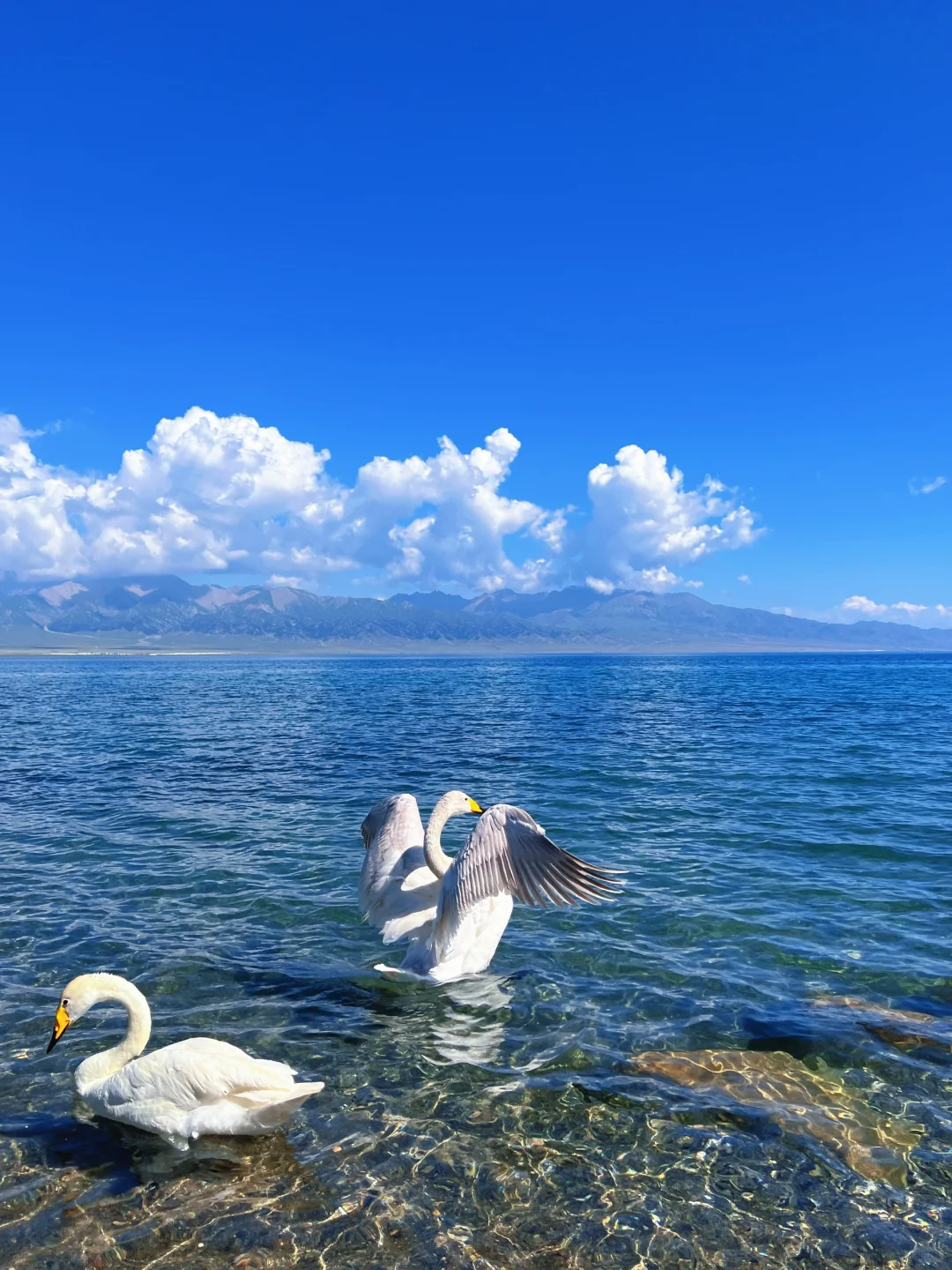 新疆 ｜赛里木湖