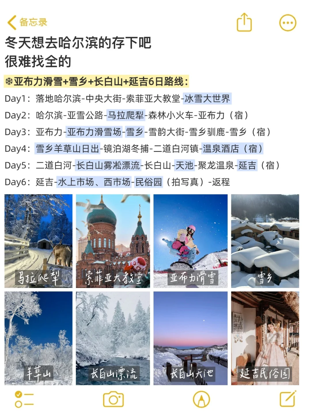 为什么我去哈尔滨之前没有刷到这篇😅