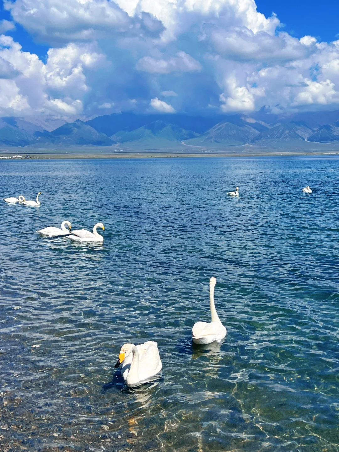 新疆 ｜赛里木湖