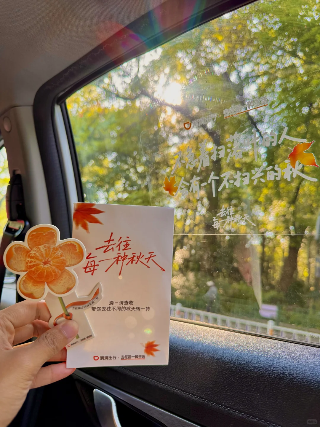 你可以永远相信北京的秋天🍁与浪漫不期而遇