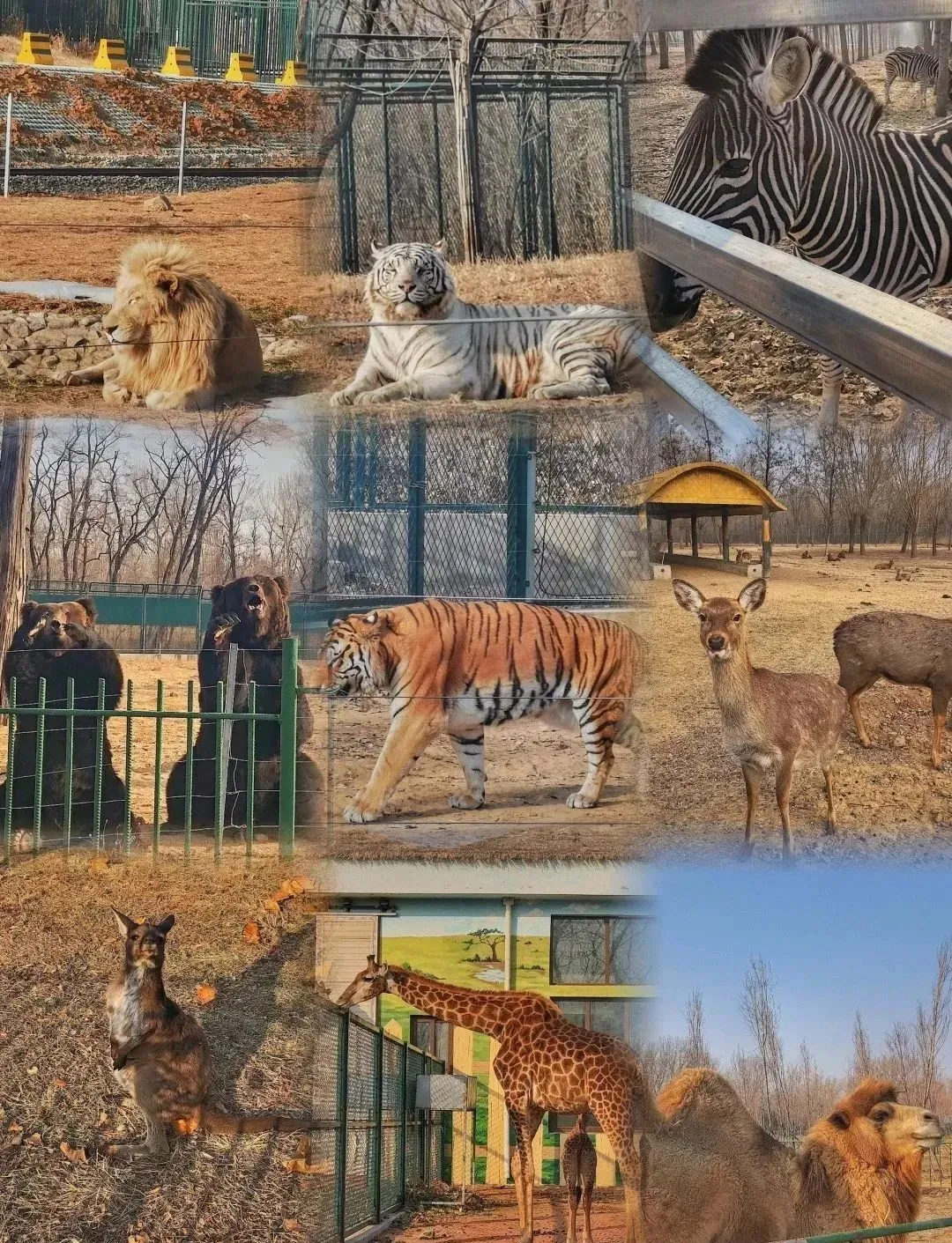 河北秦皇岛，真的是夏日的旅游打卡天堂！