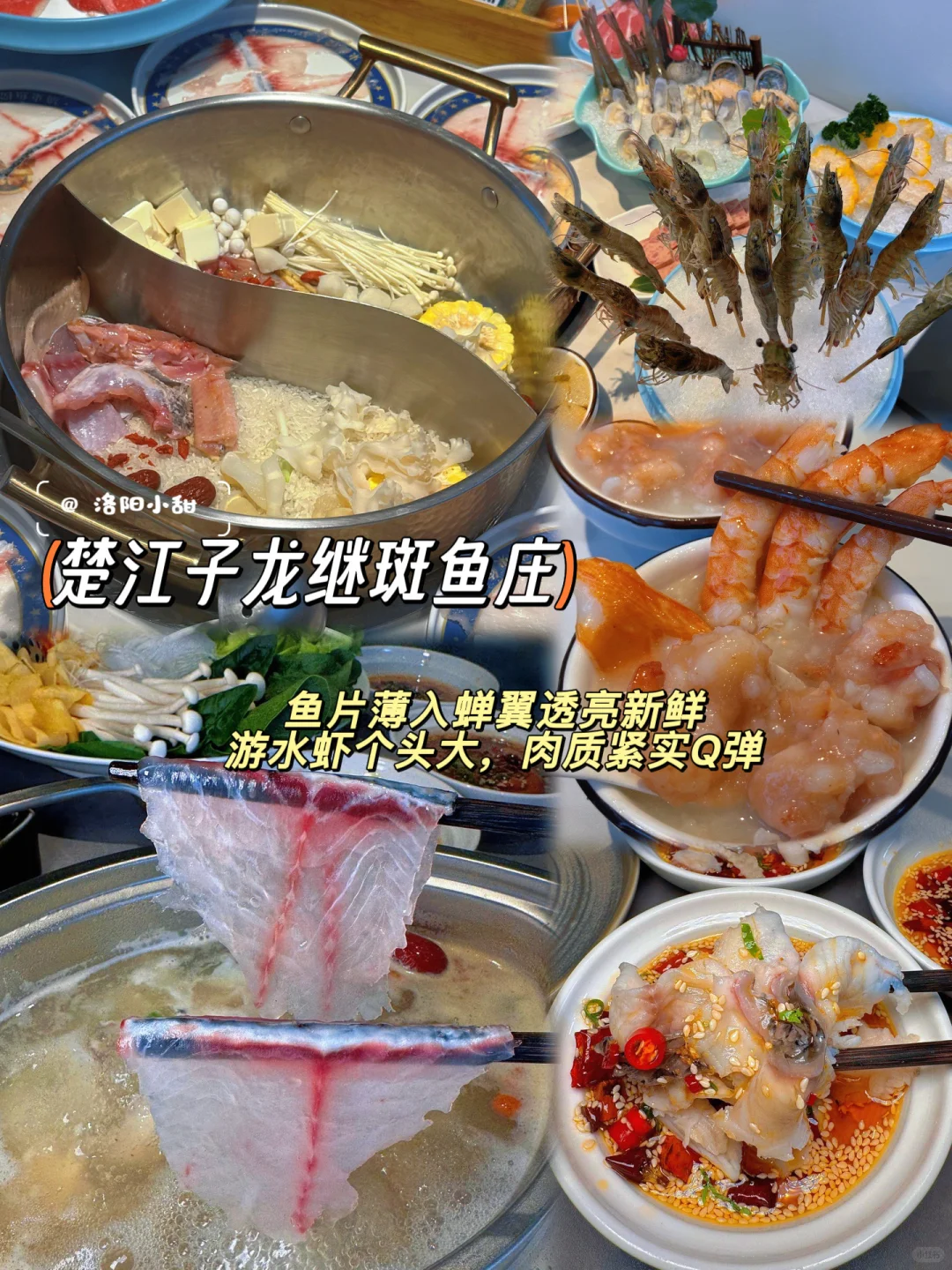 《洛阳旅游攻略》国庆3天2夜懒人版！