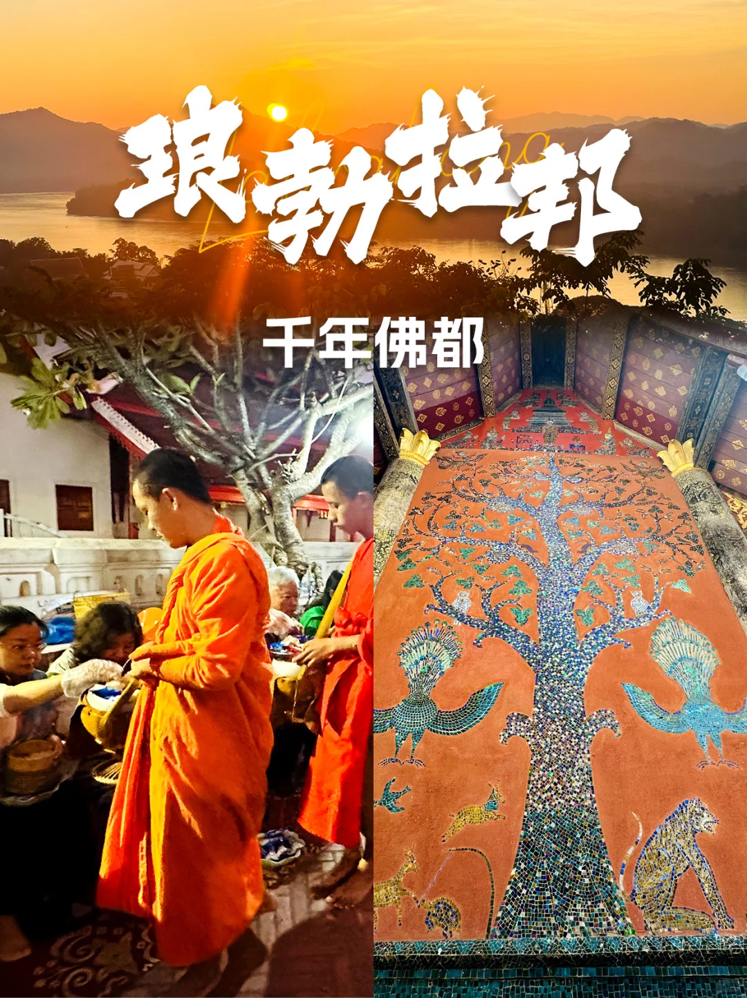 🌅湄公河畔的🛕佛国秘境