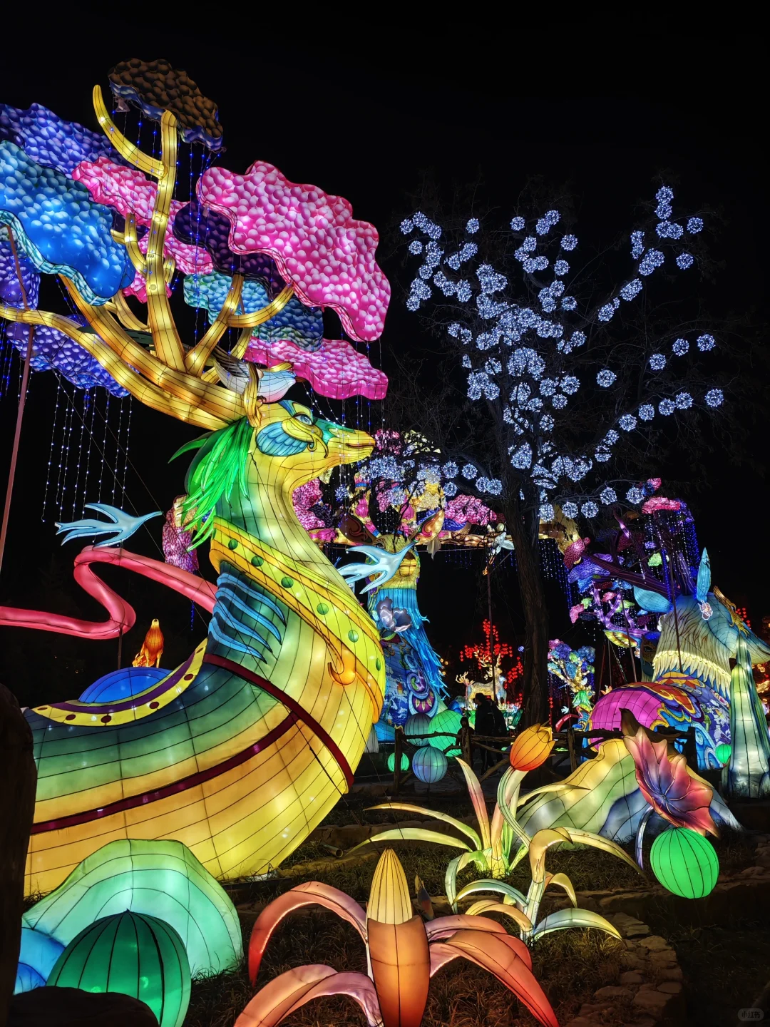 打卡万岁山 真的值得去！！！它配！