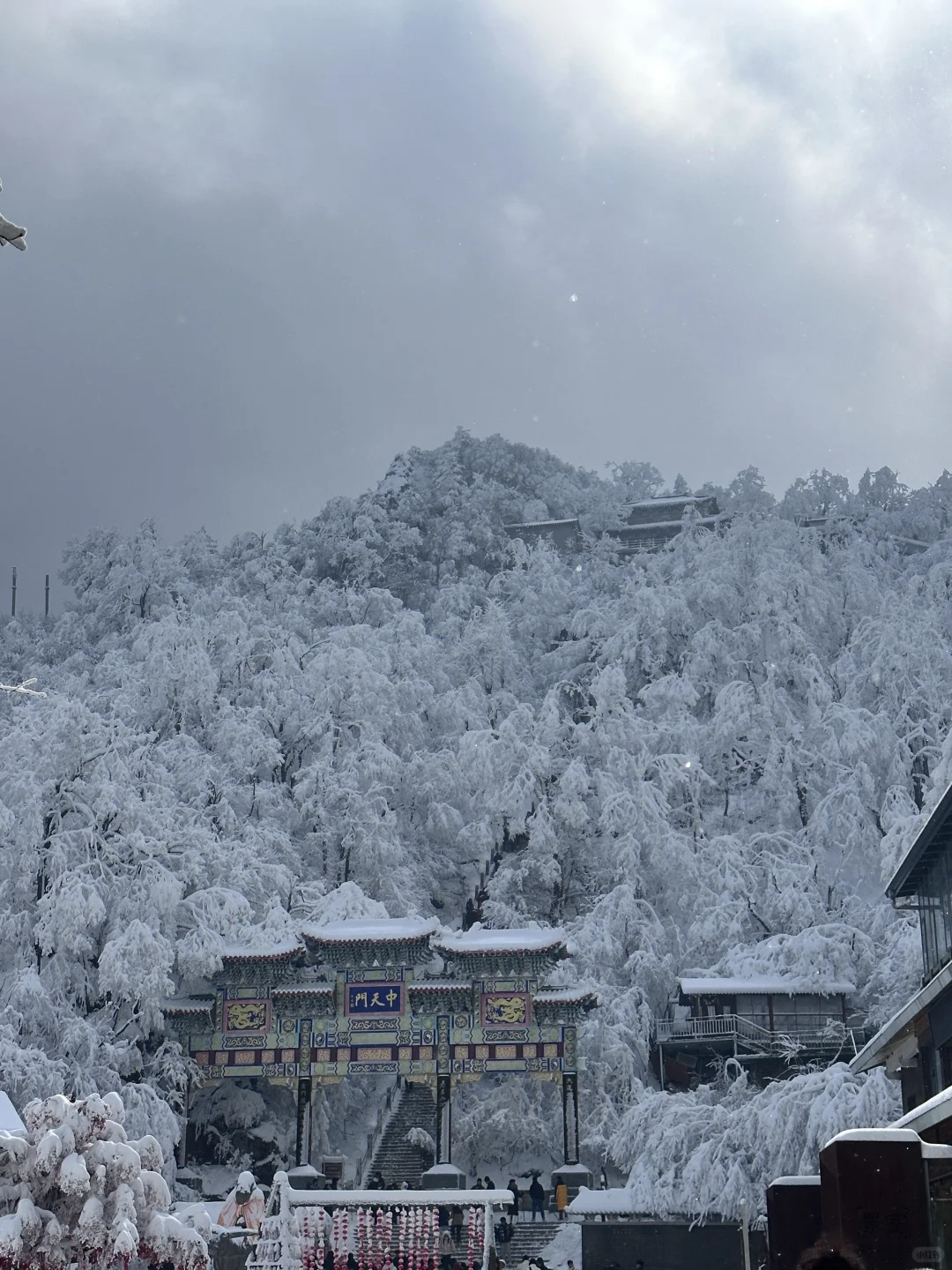 河南老君山！下雪啦！