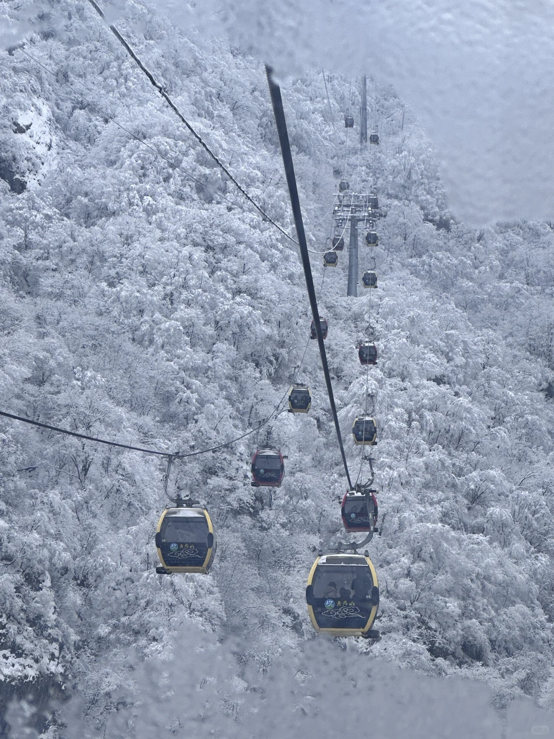 河南老君山！下雪啦！