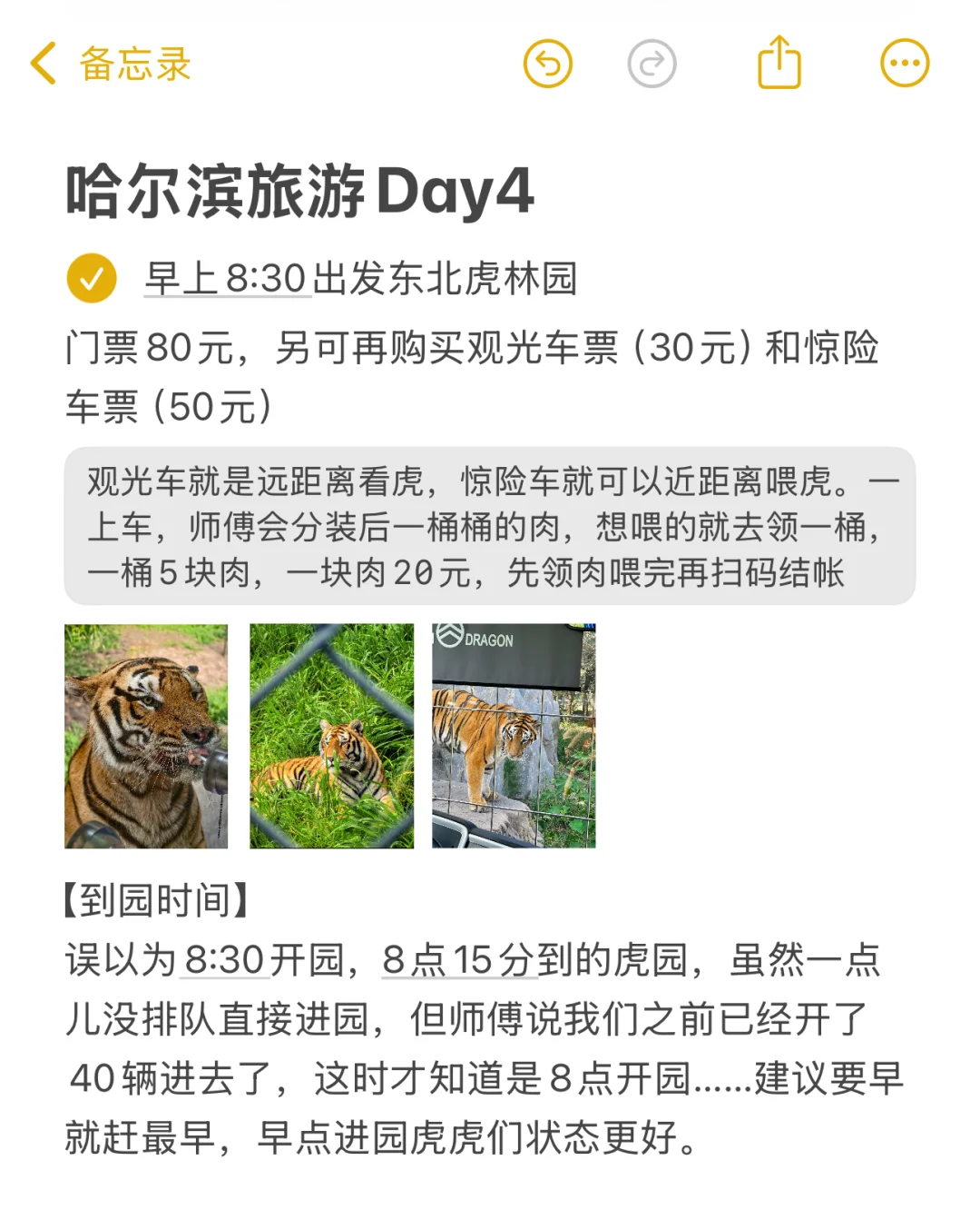 男朋友做的哈尔滨旅游攻略已经next level了