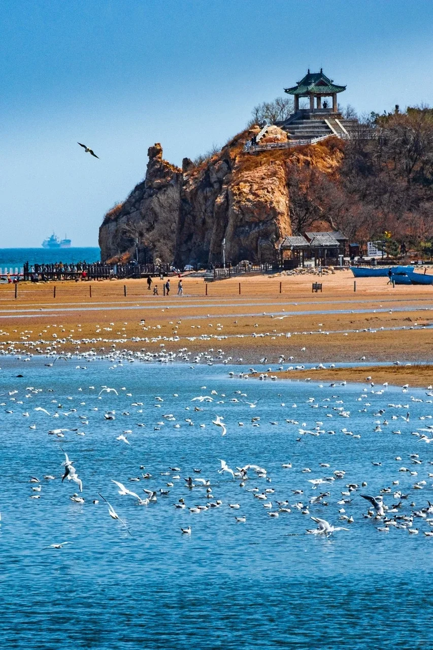 河北秦皇岛，真的是夏日的旅游打卡天堂！