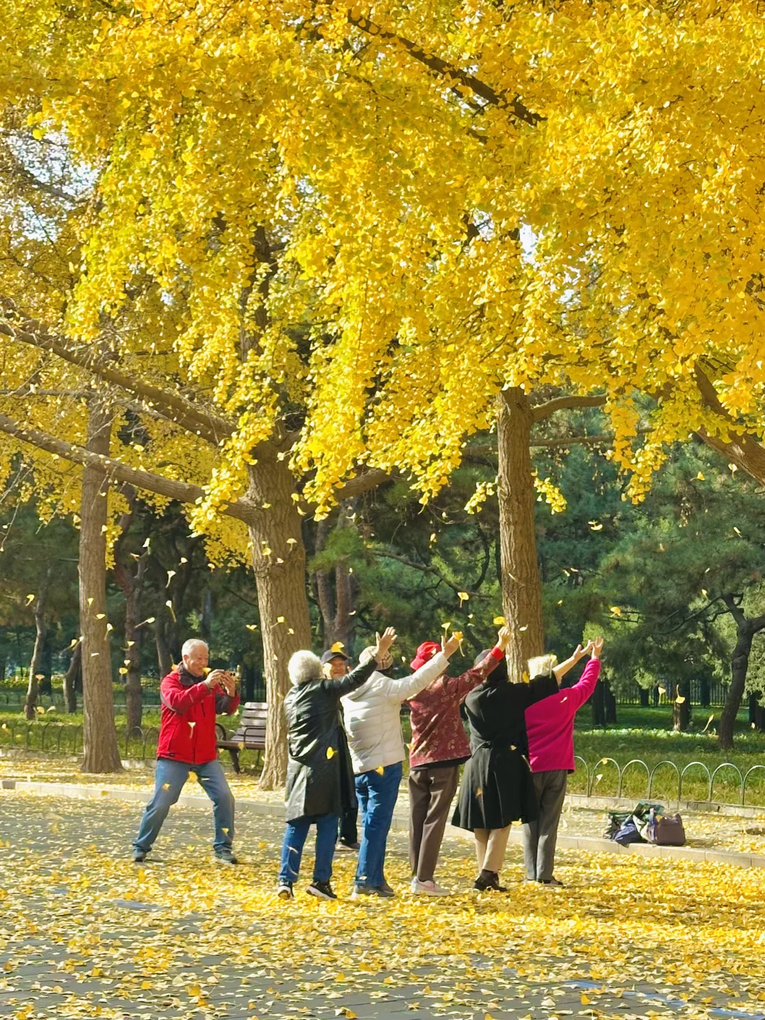 美翻天❗️18张live图看北京的秋天有多惊艳‼️