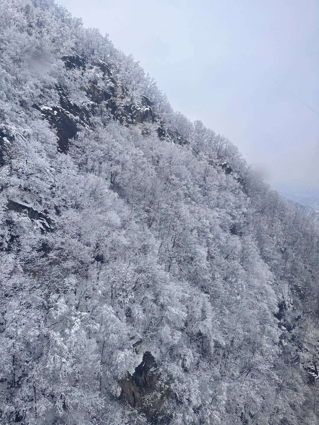 河南老君山！下雪啦！
