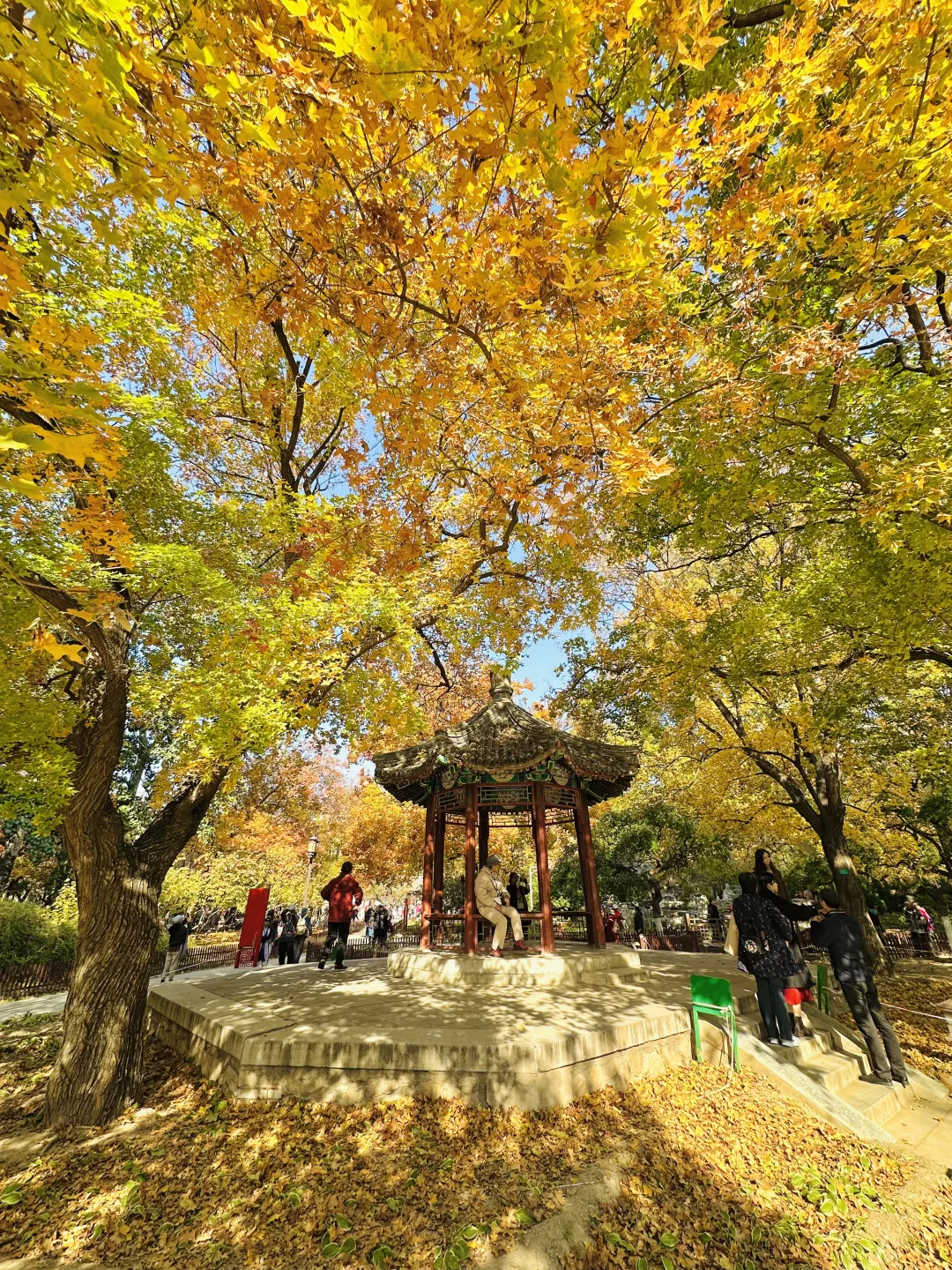 美翻天❗️18张live图看北京的秋天有多惊艳‼️