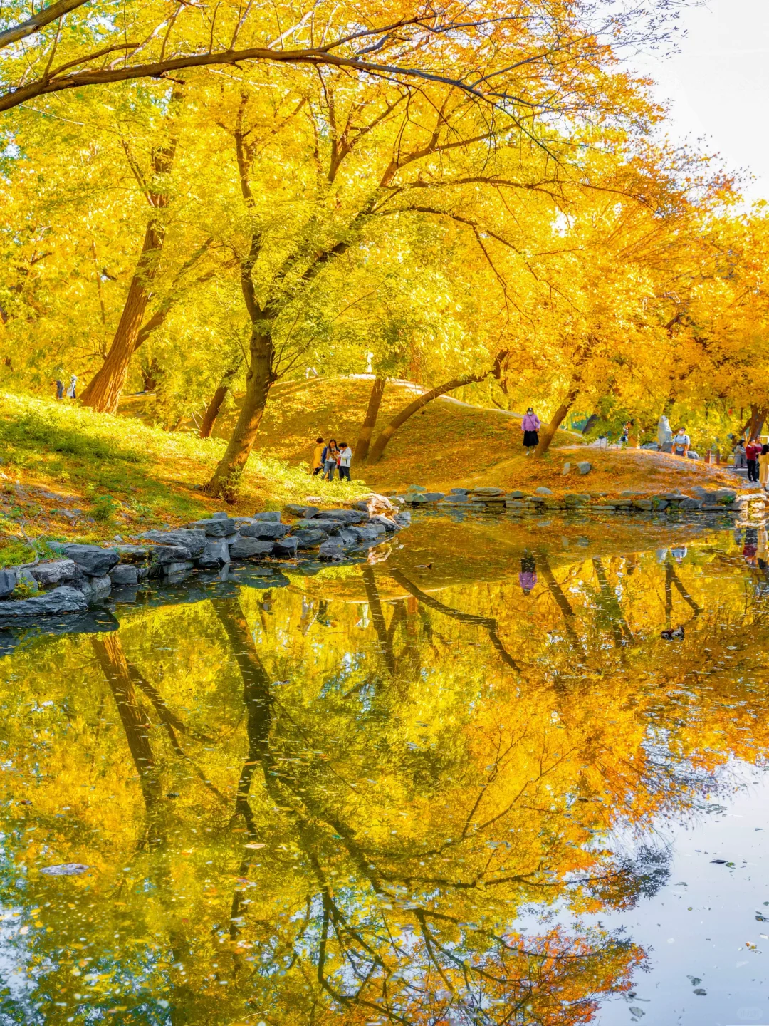 你可以永远相信北京的秋天🍁与浪漫不期而遇