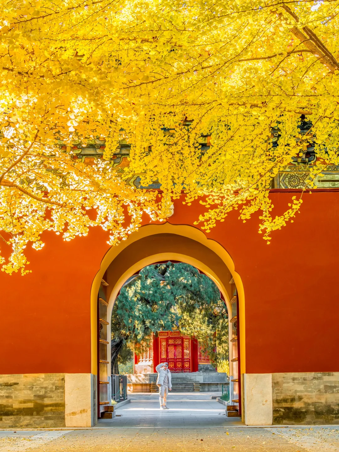 你可以永远相信北京的秋天🍁与浪漫不期而遇