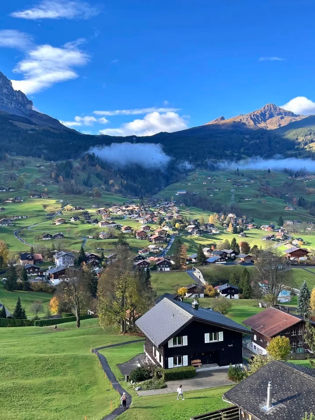 📍新西兰,这才是live的意义吧!