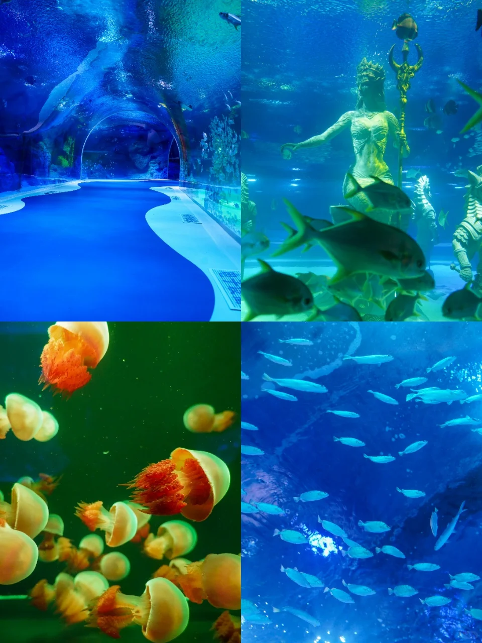 刚回来！哈尔滨3天2夜人均400详细攻略🔥