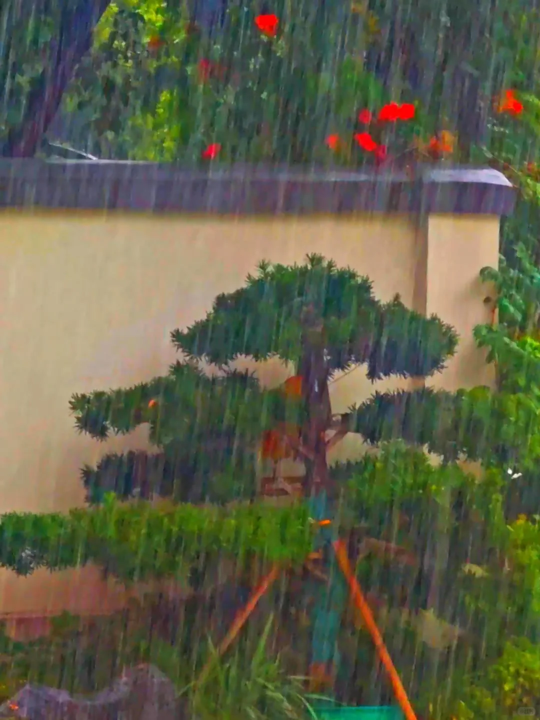 邯郸广府古城攻略｜穿越千年的太极水城✨