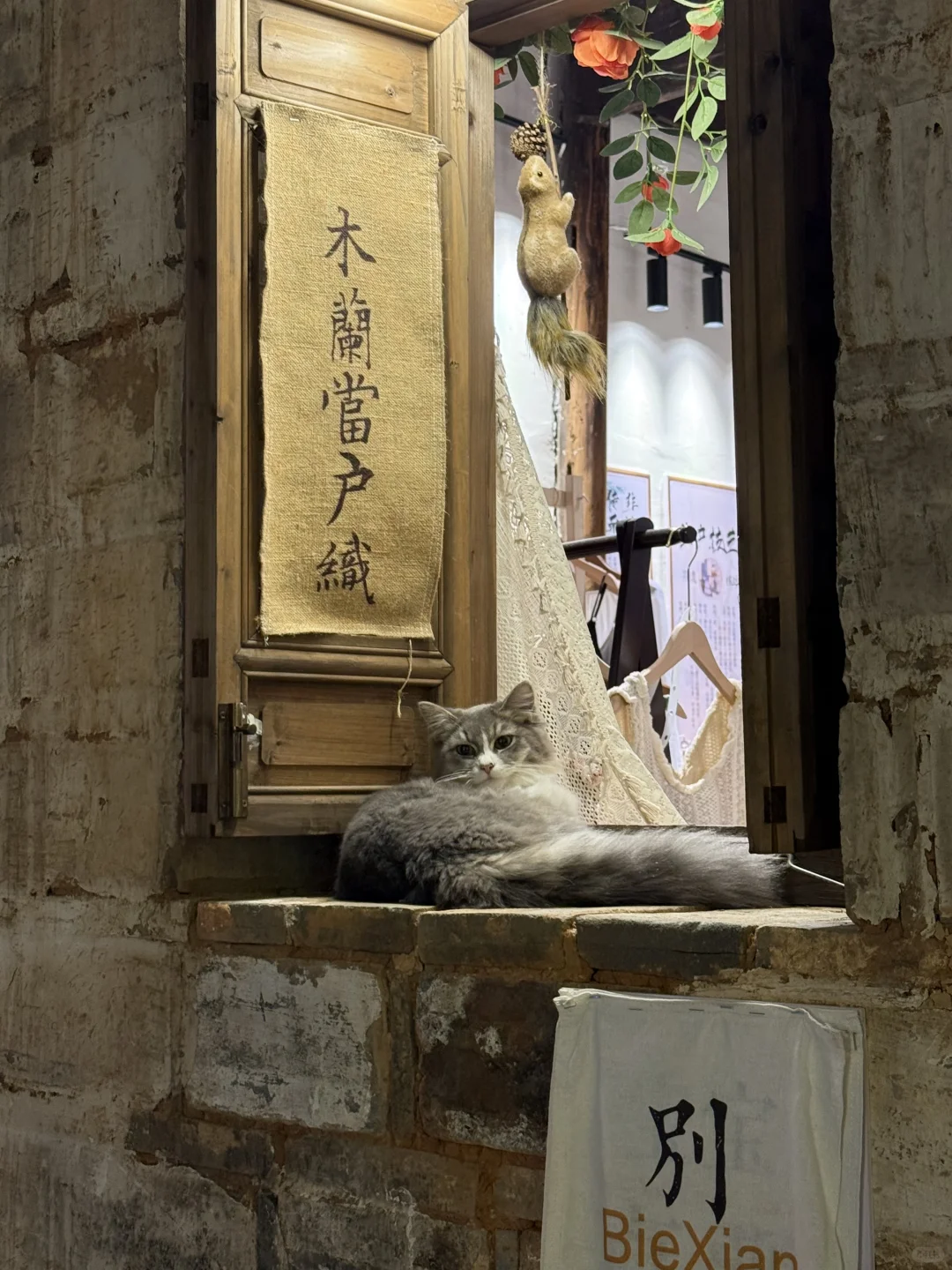 江西这么好玩的地方都是免费的❗