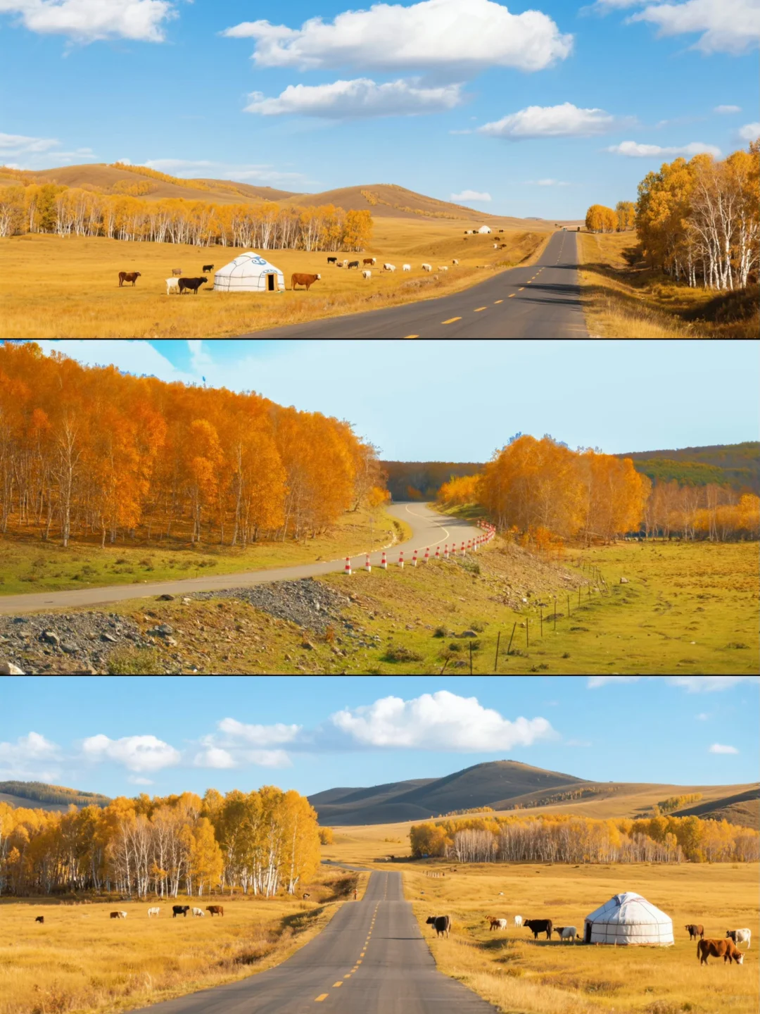 乌兰布统封神级秋景自驾路线🍂金色草原+沙