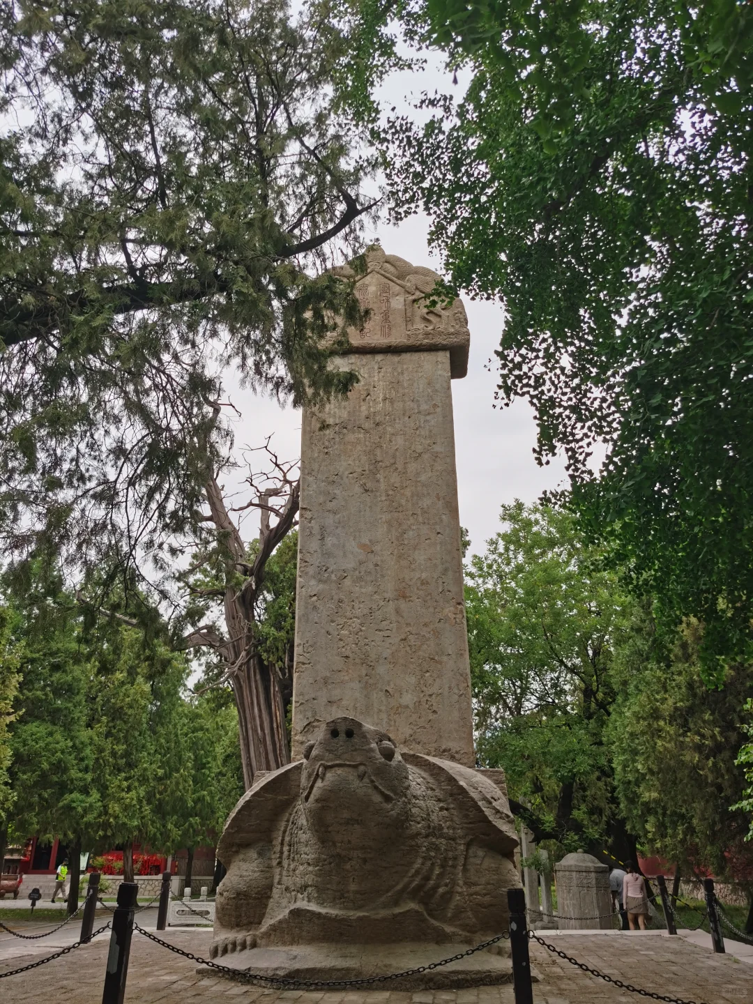 先别急着爬泰山，这儿去了吗？