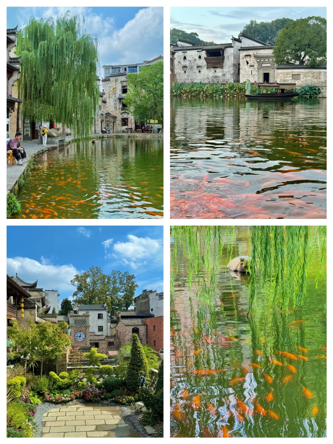 江西这么好玩的地方都是免费的❗