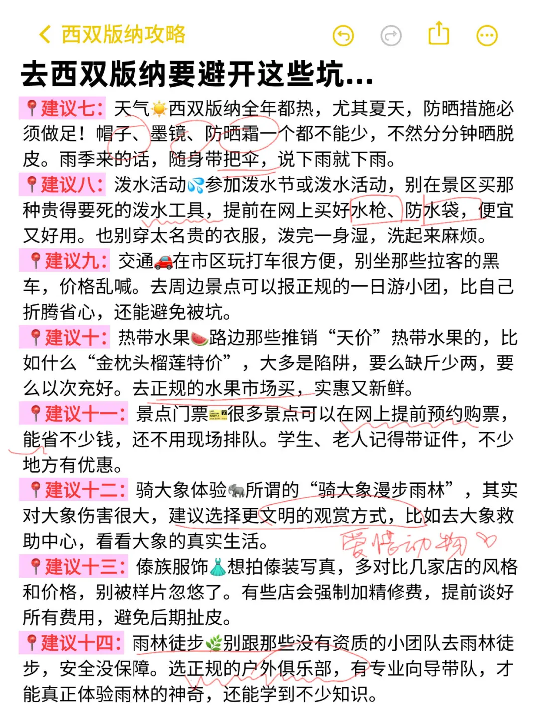 被自己熬夜做的西双版纳攻略满意得睡不着。。