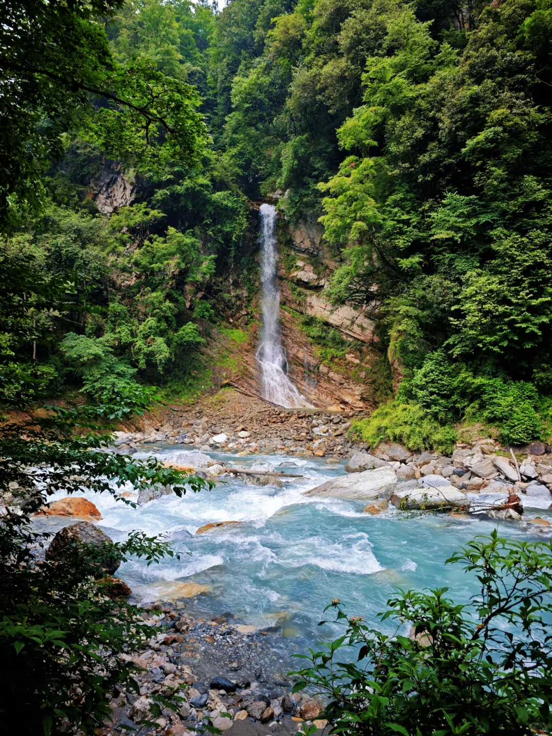 从38℃逃进森林的我，只想待在这里不走了