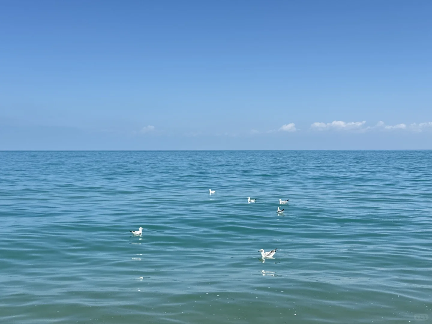 青海湖｜西宁公共交通攻略