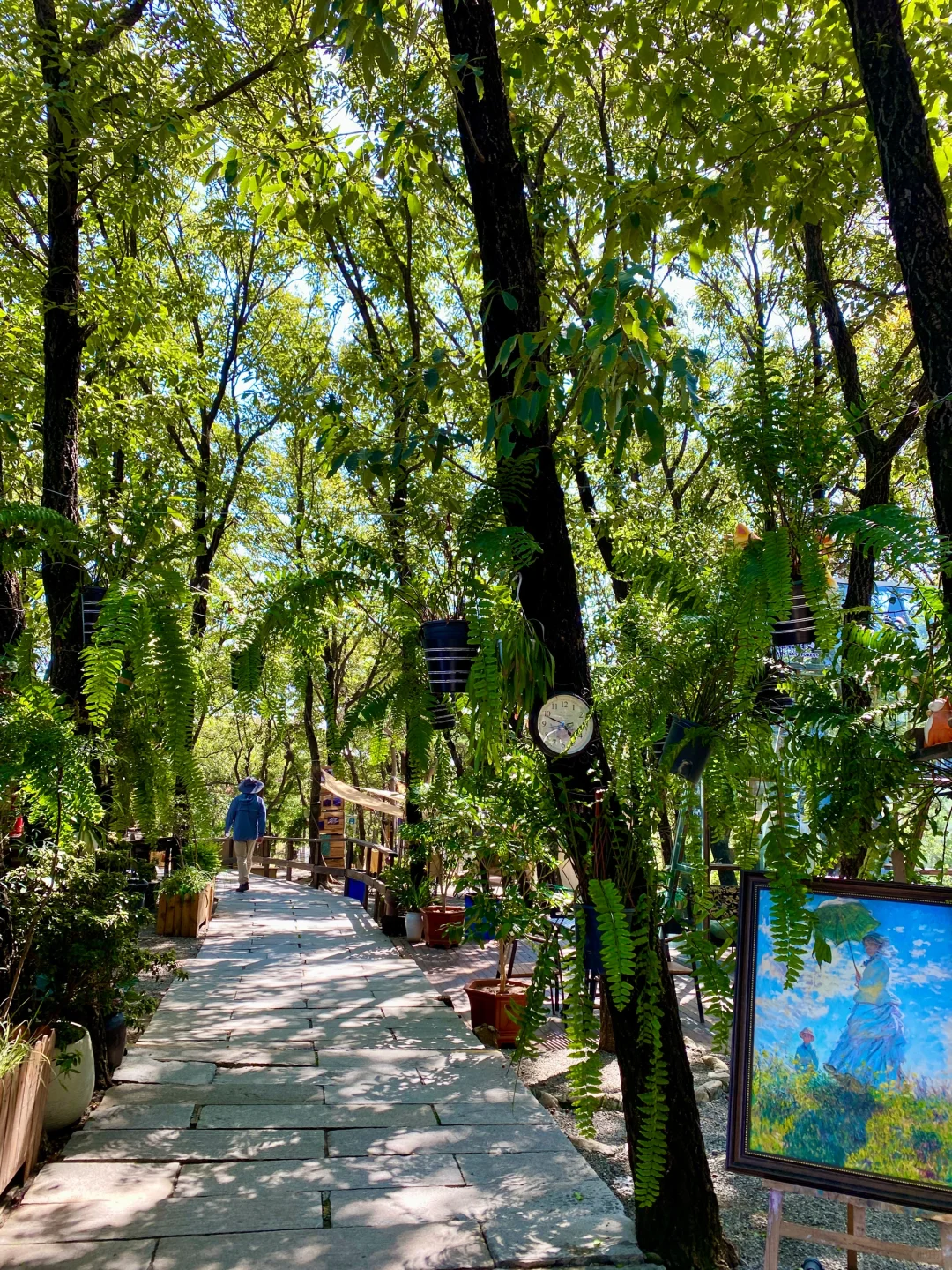 初秋｜进山⛰️，用快乐覆盖快乐