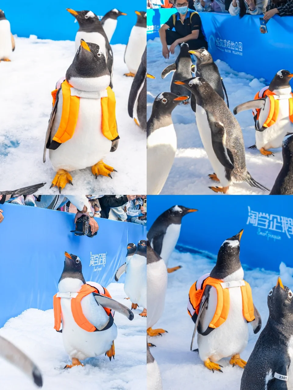 刚回来！哈尔滨3天2夜人均400详细攻略🔥