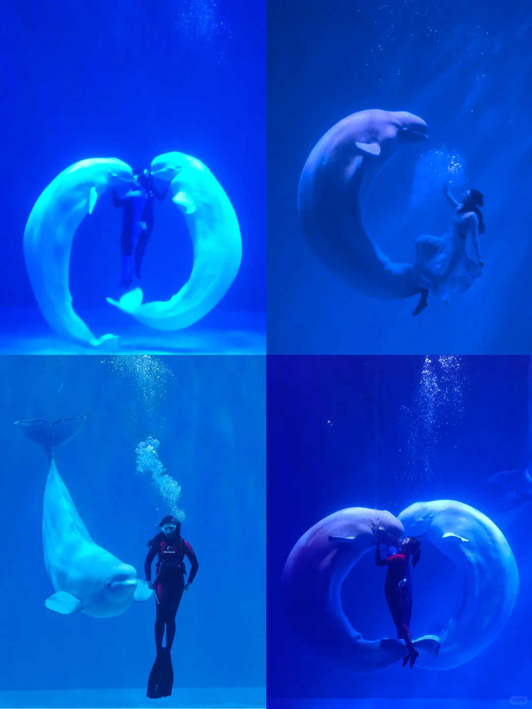 哈尔滨4天3晚旅游攻略❗看着一篇就够了