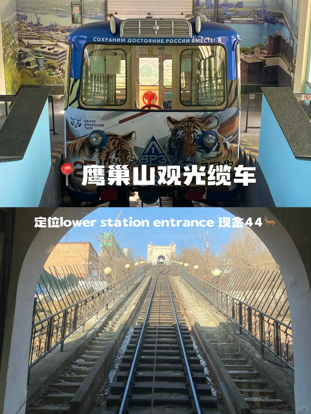 东北来都来了，那就趁着🇷🇺免签出趟国吧！