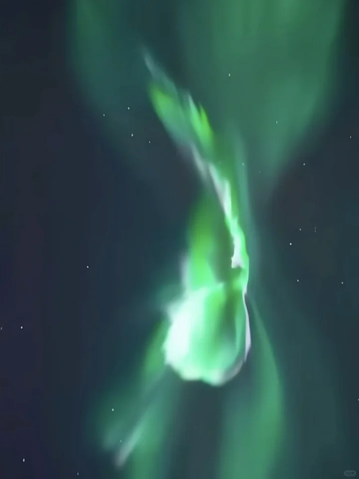 实话难听😥但这就是新西兰极光的真实现状…