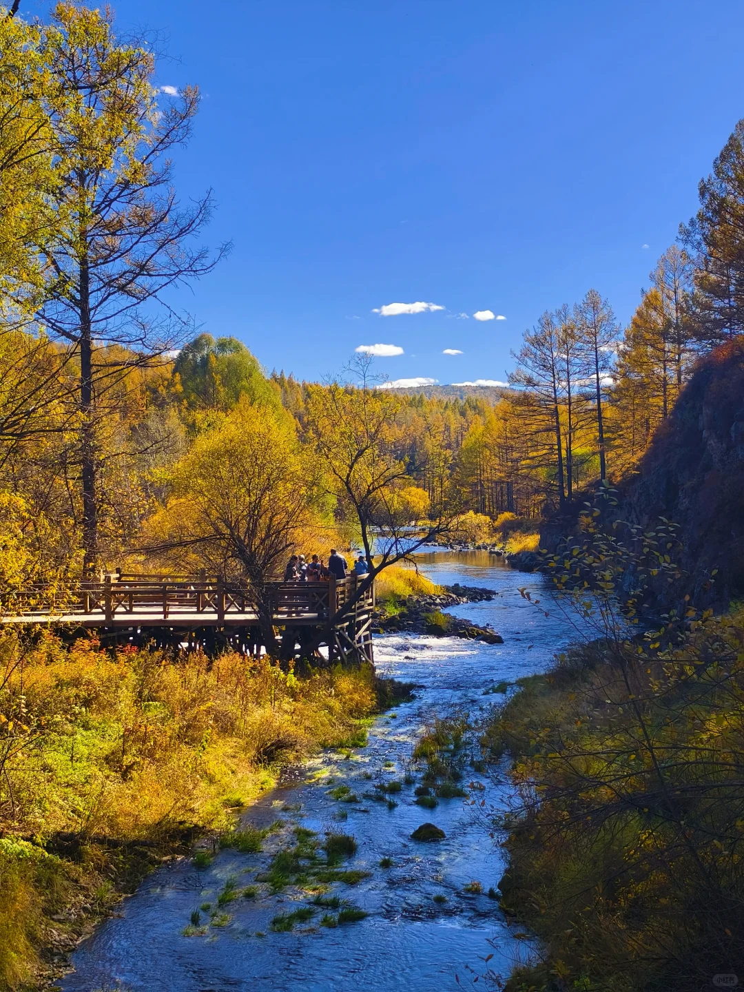 阿尔山很美，但是下次不来了