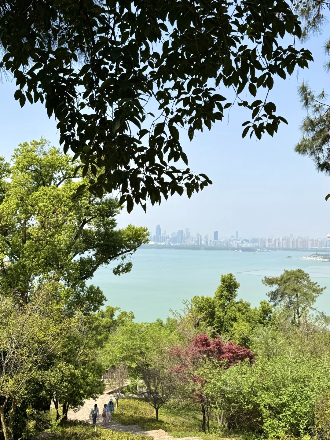 去了东湖N次，还是钟爱这3条徒步骑行路线♻️