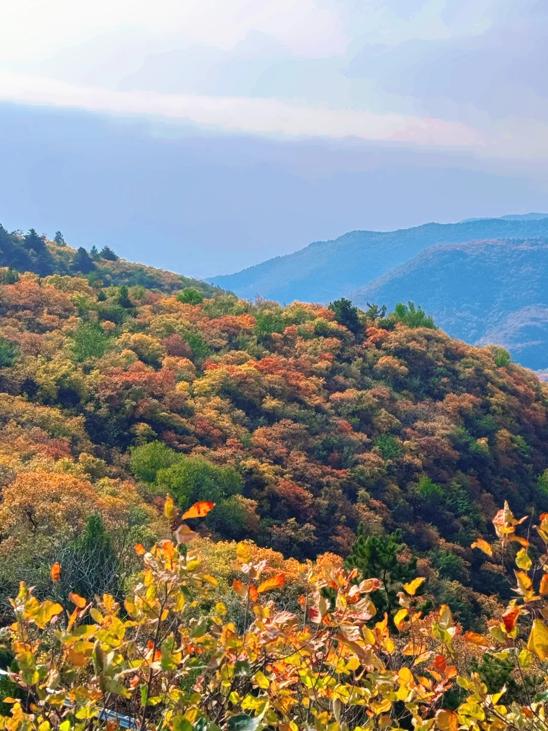 🍁太原龙山|10.25实时美景攻略，层林尽染