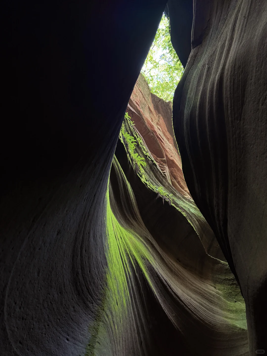 陕西·近期去过最美景区💚