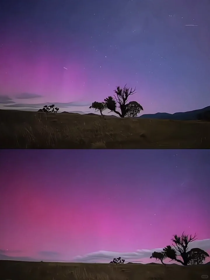 📍新西兰,这才是live的意义吧!