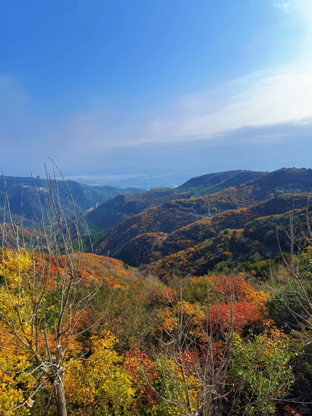 🍁太原龙山|10.25实时美景攻略，层林尽染