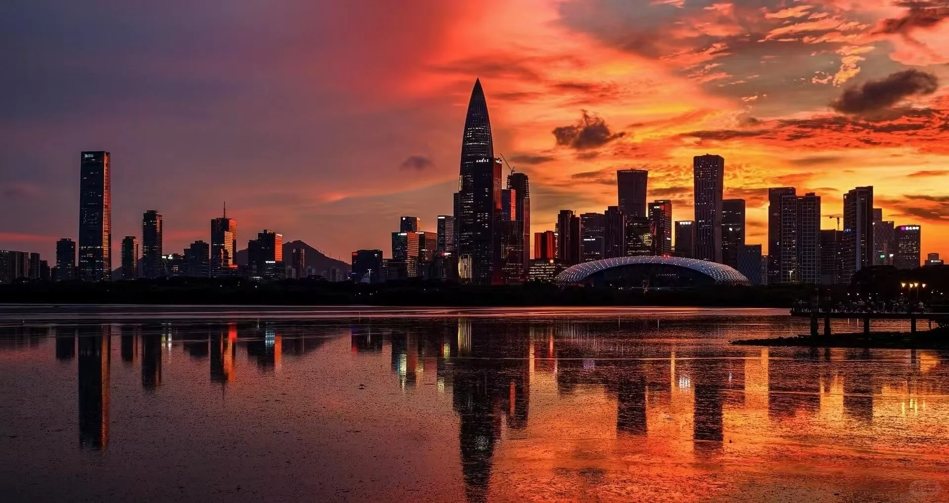 深圳必玩景点-福田红树林景区！