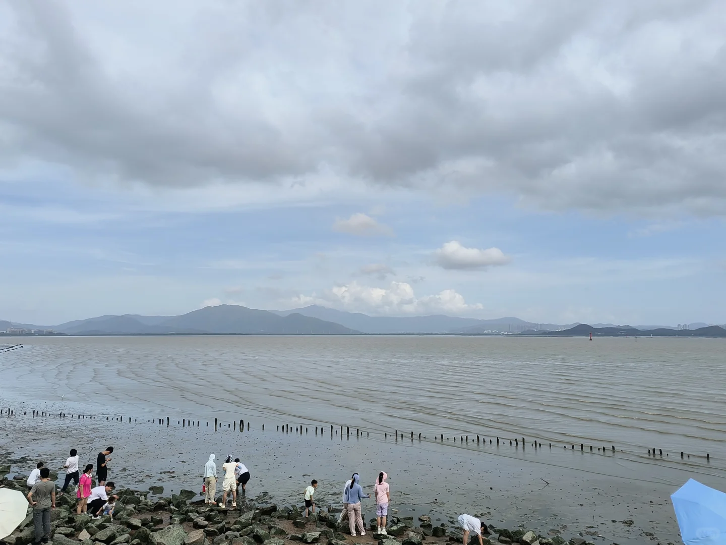 深圳必玩景点-福田红树林景区！