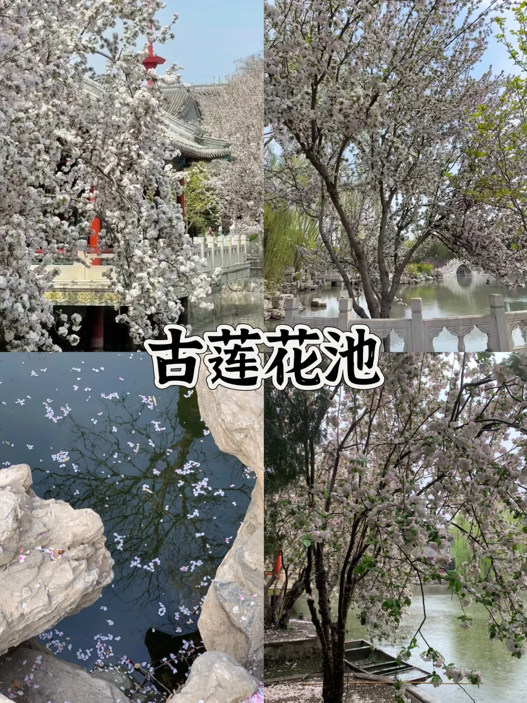 🎉保定一日游超全攻略来袭！