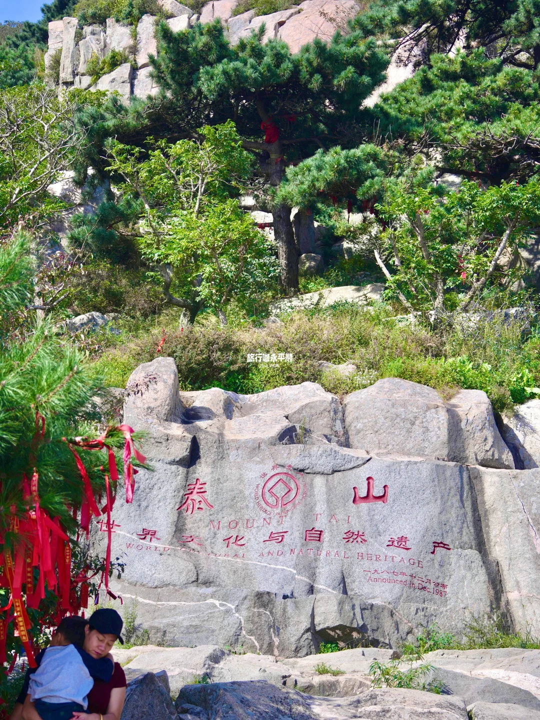 真的搞不懂为什么泰安 只有泰山火