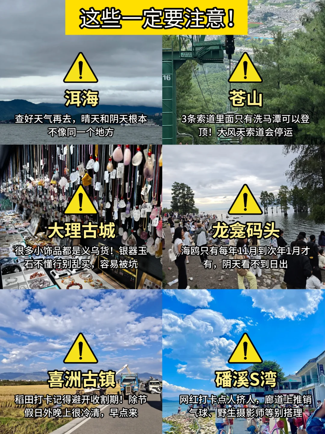 大理旅游刚回...💔能救一个是一个(不会删