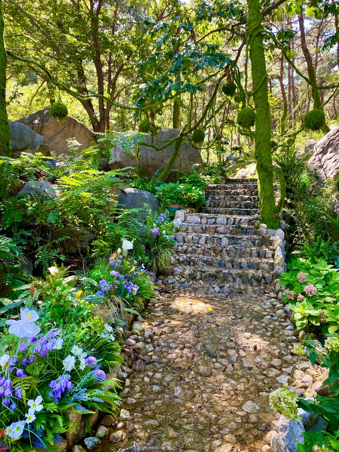 初秋｜进山⛰️，用快乐覆盖快乐
