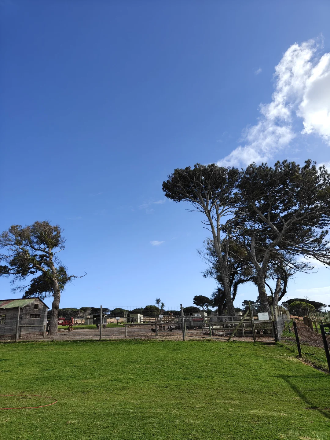 南非| 开普敦，美的无法形容，欲罢不能