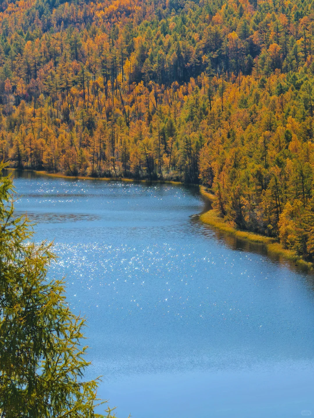 阿尔山很美，但是下次不来了