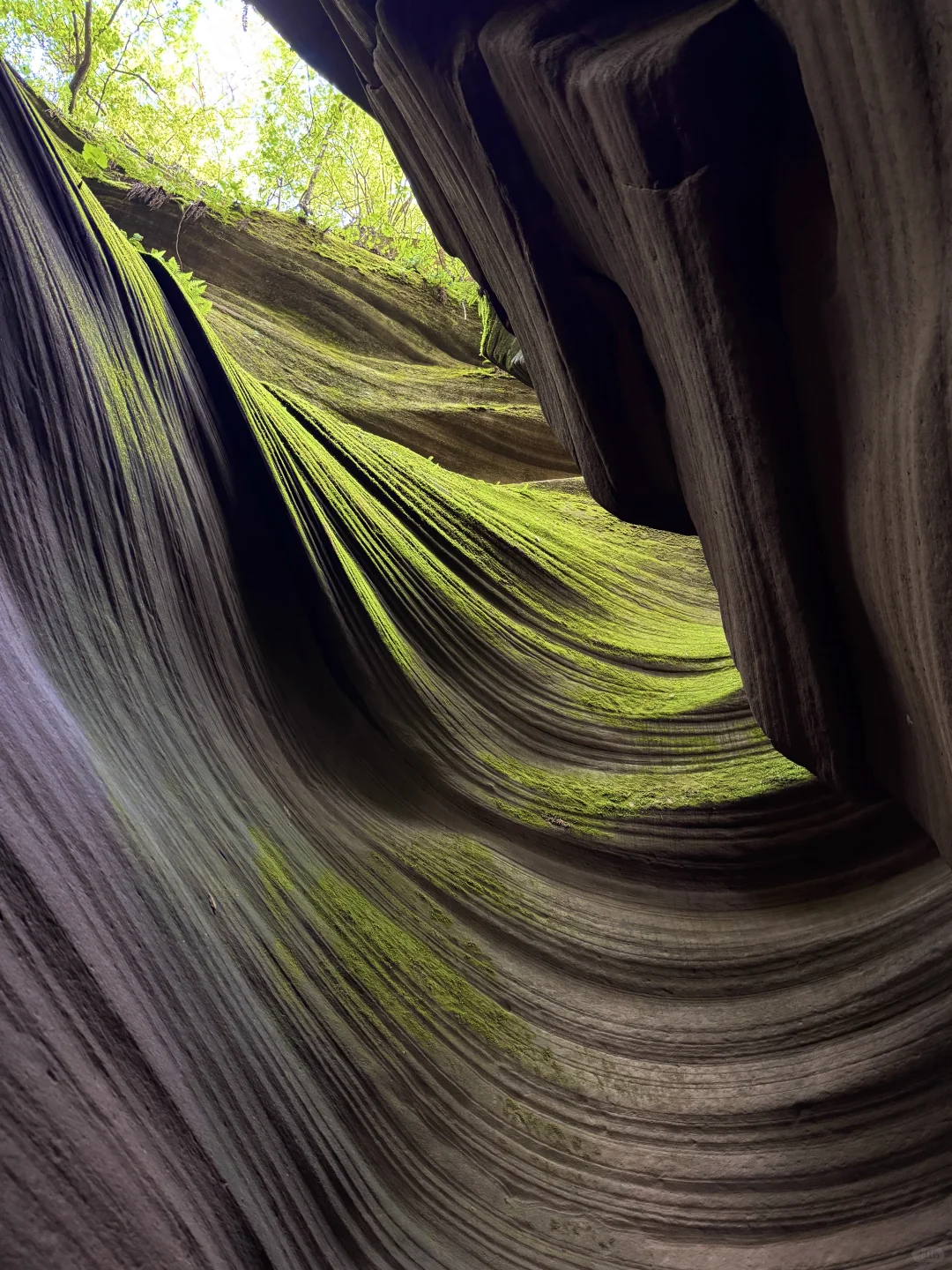 陕西·近期去过最美景区💚