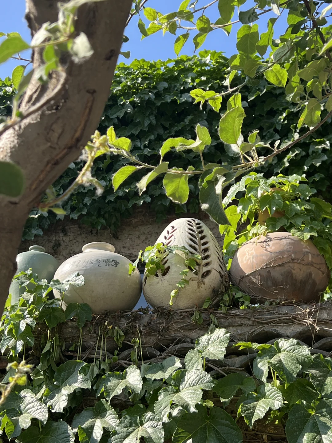 没人！邯郸峰峰矿区真的很宝藏