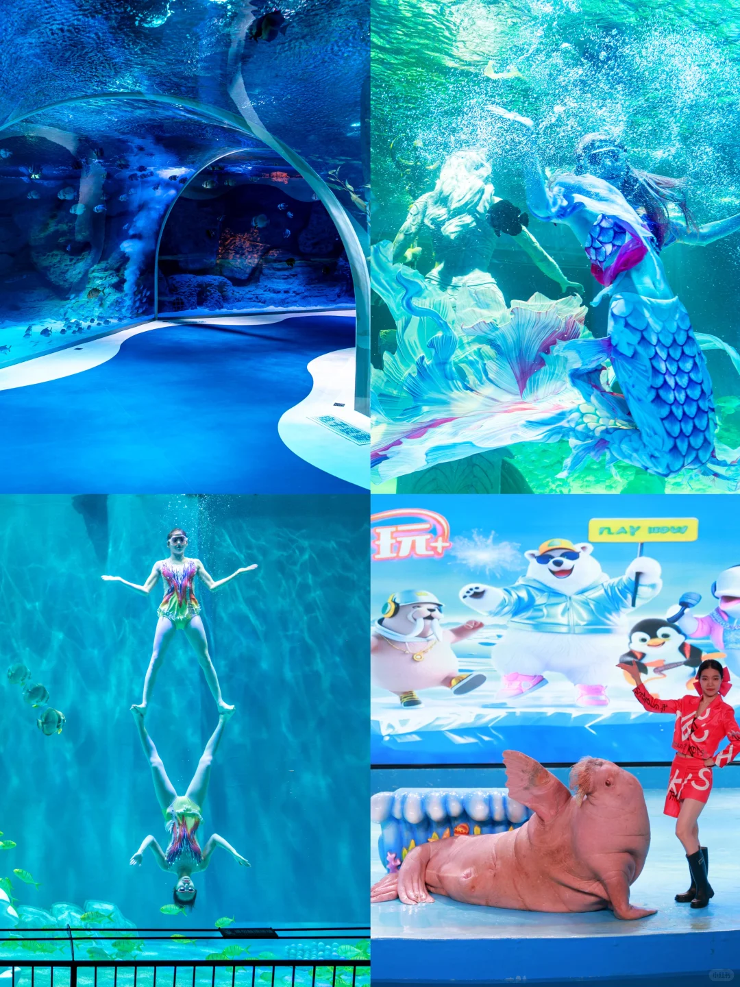 哈尔滨4天3晚旅游攻略❗看着一篇就够了